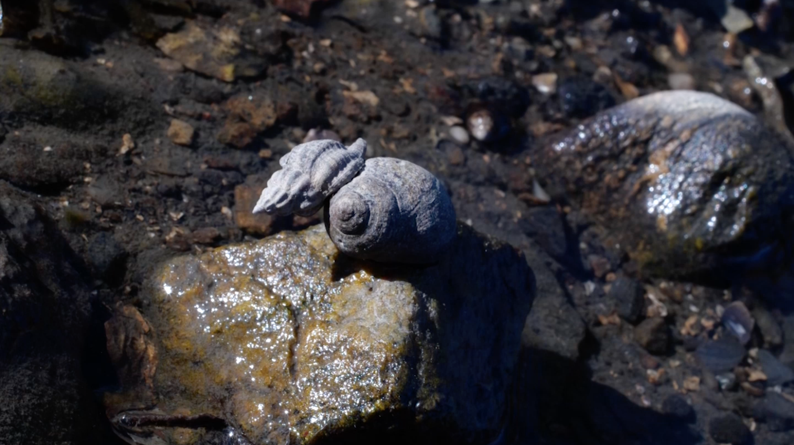 Film still from A Day at the Beach