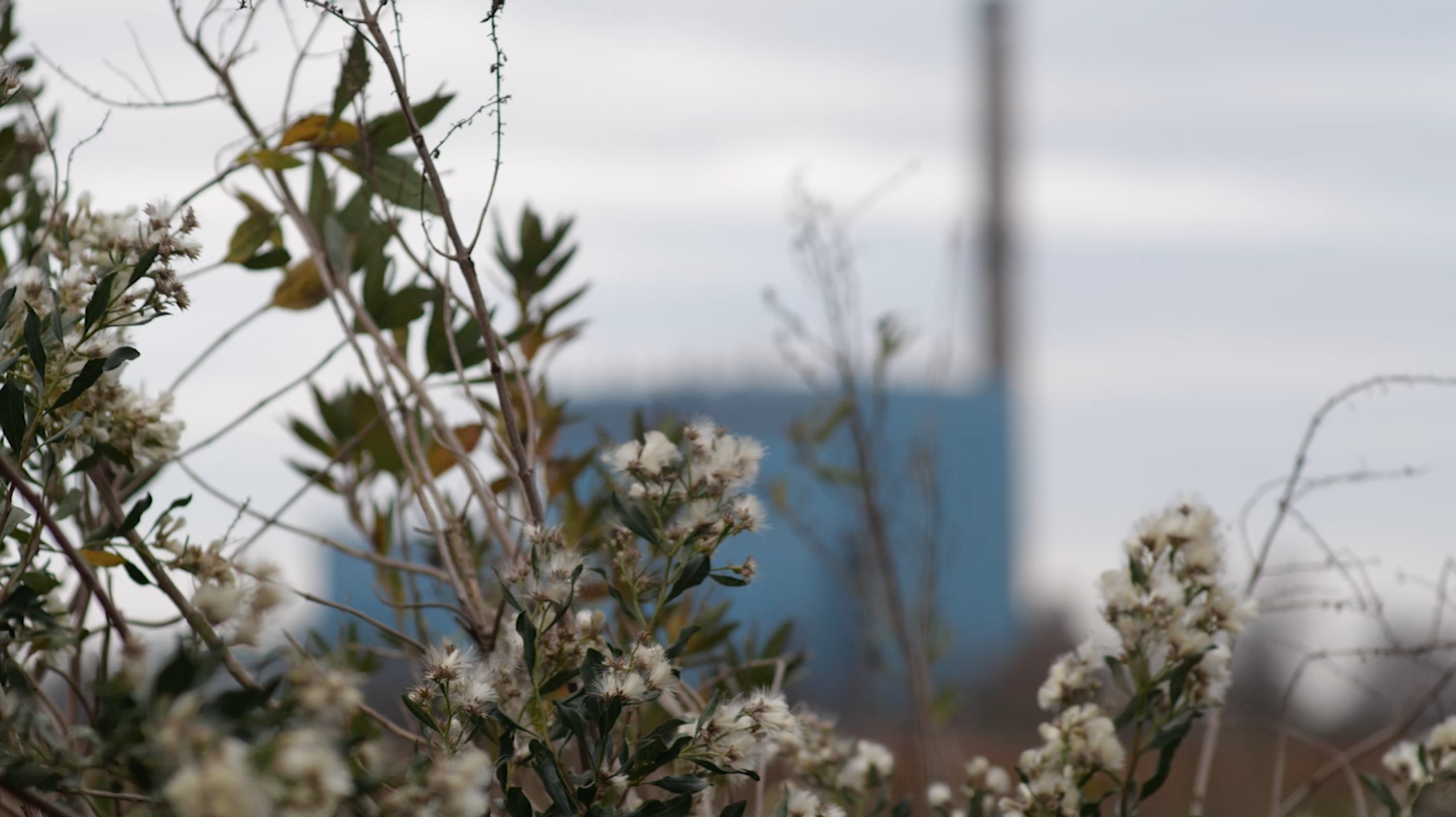 Film still from A Day at the Beach